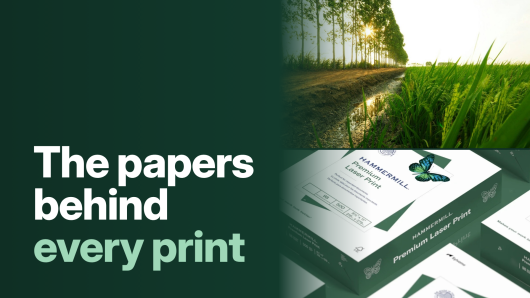 printMe1.com's Paper Specifications